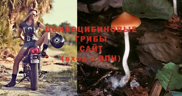 экстази Беломорск