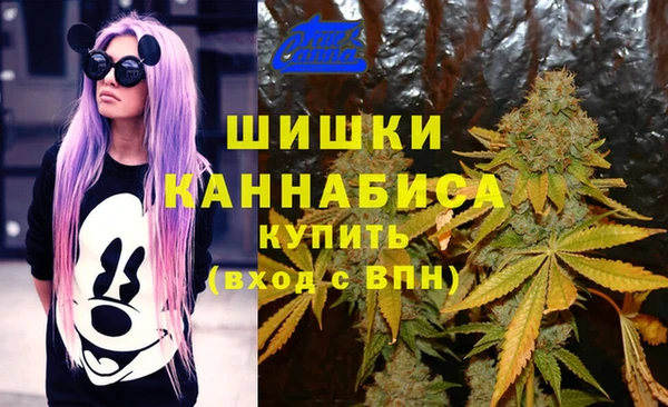 скорость Белокуриха