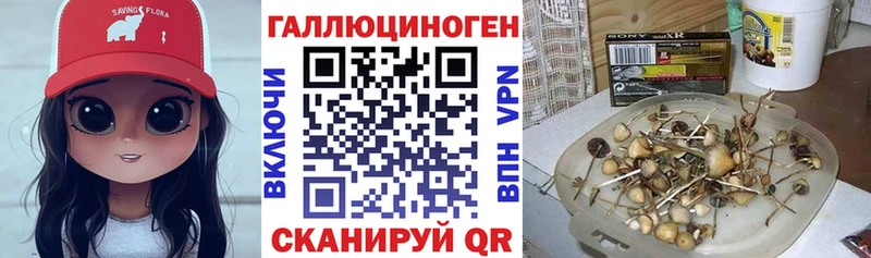 Псилоцибиновые грибы GOLDEN TEACHER  закладки  Славгород 